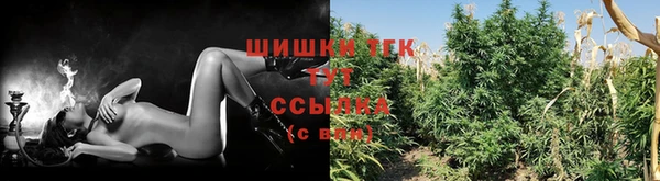мескалин Ладушкин