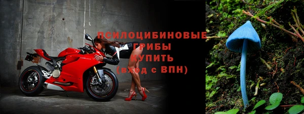 прущая мука Лагань