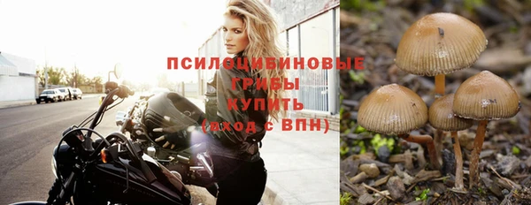прущая мука Лагань