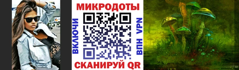 Купить закладки  Ярославль  Псилоцибиновые грибы Psilocybe 